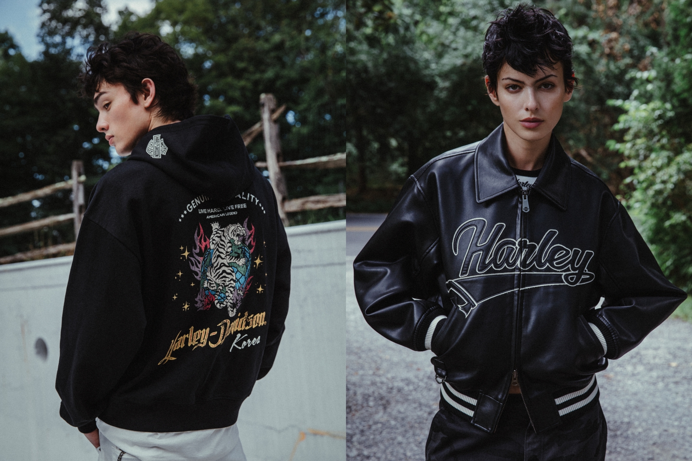 HARLEY-DAVIDSON COLLECTIONS